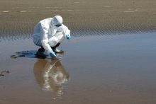 Ministro Valenzuela confirma primer caso de influenza aviar H5N1 en ave silvestre encontrada en Arica