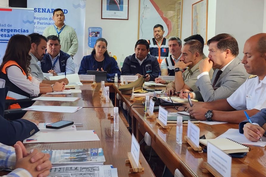 Senapred decreta Alerta Amarilla por aumento de hallazgos de Aedes aegypti en Arica