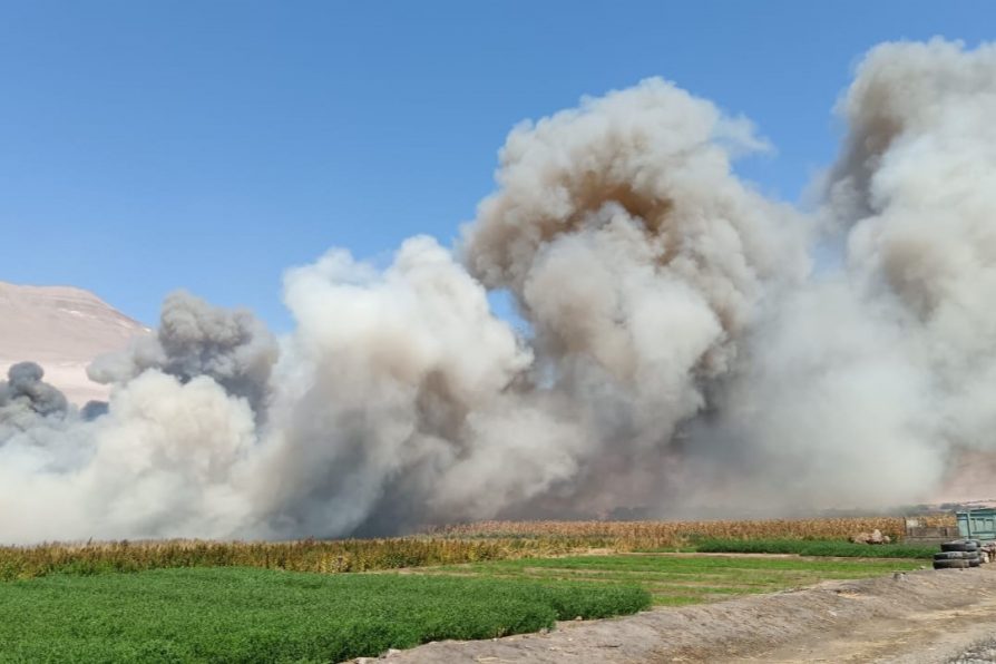 Detienen a sujeto acusado de iniciar gran incendio en Lluta